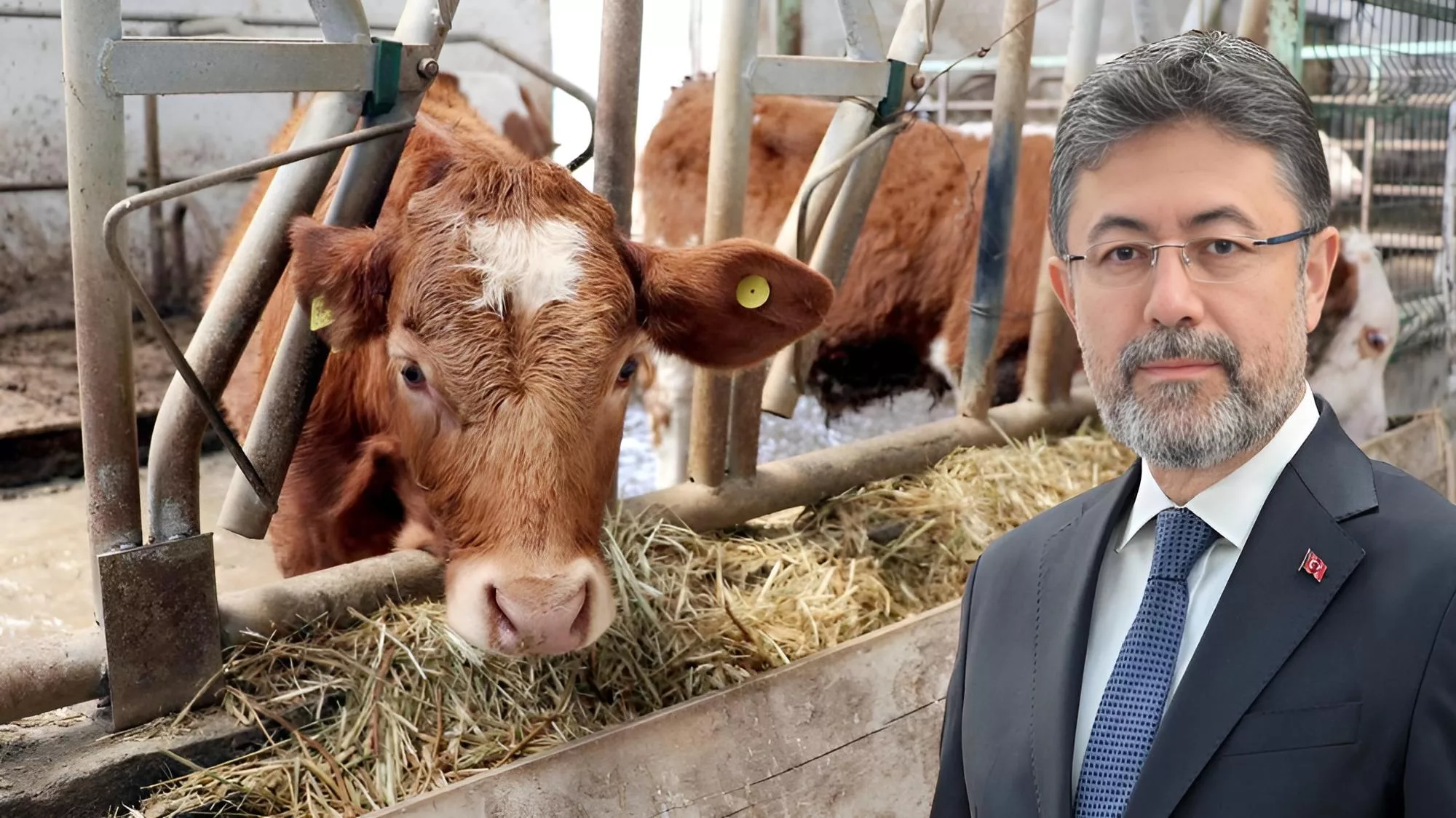 Hayvan ithalatına yeni düzenleme! Sadece devlet yapacak
