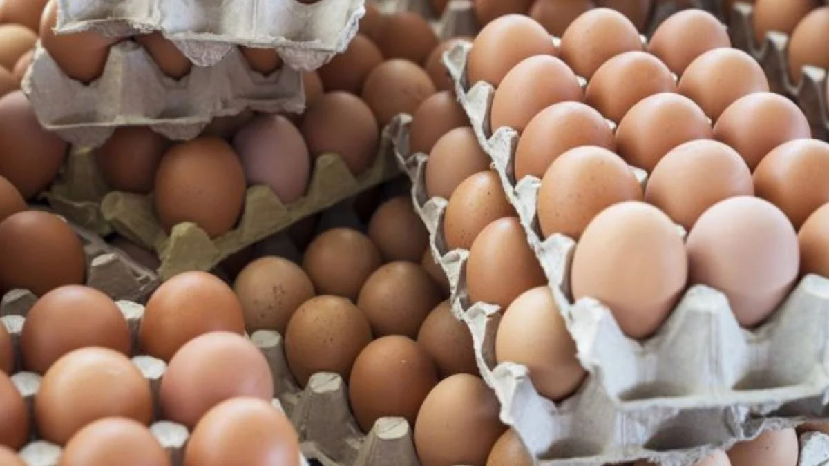 Tarım Kredi Market'te yumurta fiyatı dibi gördü! O tarihe kadar geçerli olacak