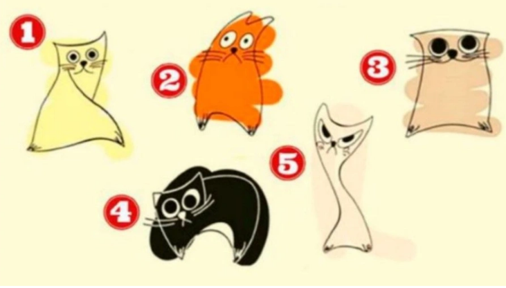 Sizin kediniz hangisi? Seçtiğiniz kedi karakterinizi anlatıyor