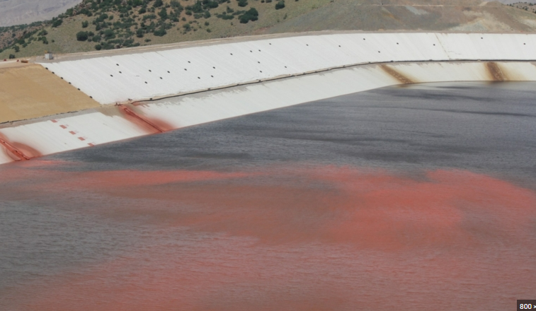 Siyanür Fırat Nehri'ne karışırsa ne olur? Erzincan İliç'te kâbus dolu gün