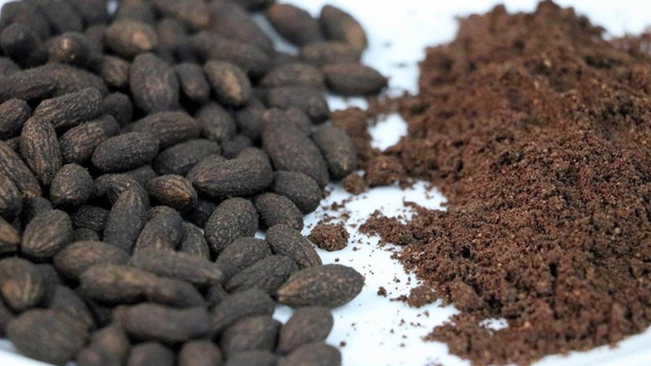 Bunu okuduktan sonra zeytinin çekirdeğini asla çöpe atmayacaksınız! Bakın ne işe yarıyormuş