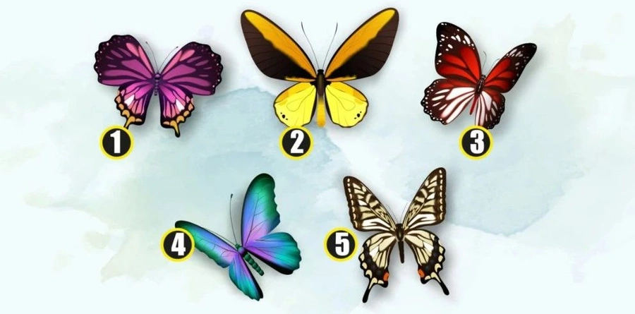5 kelebekten hangisini seçersin? Karakterin hakkında önemli detaylar veriyor