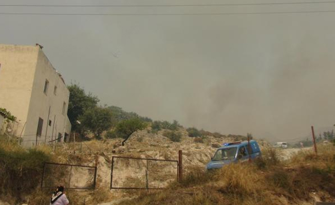 Bodrum'da makilik alanda yangın