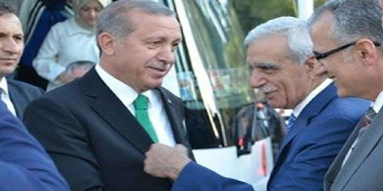 Selahattin Demirtaş’tan sonra Ahmet Türk de Erdoğan’a göz kırptı! DEM - AKP görüşmesini resmen itiraf etti