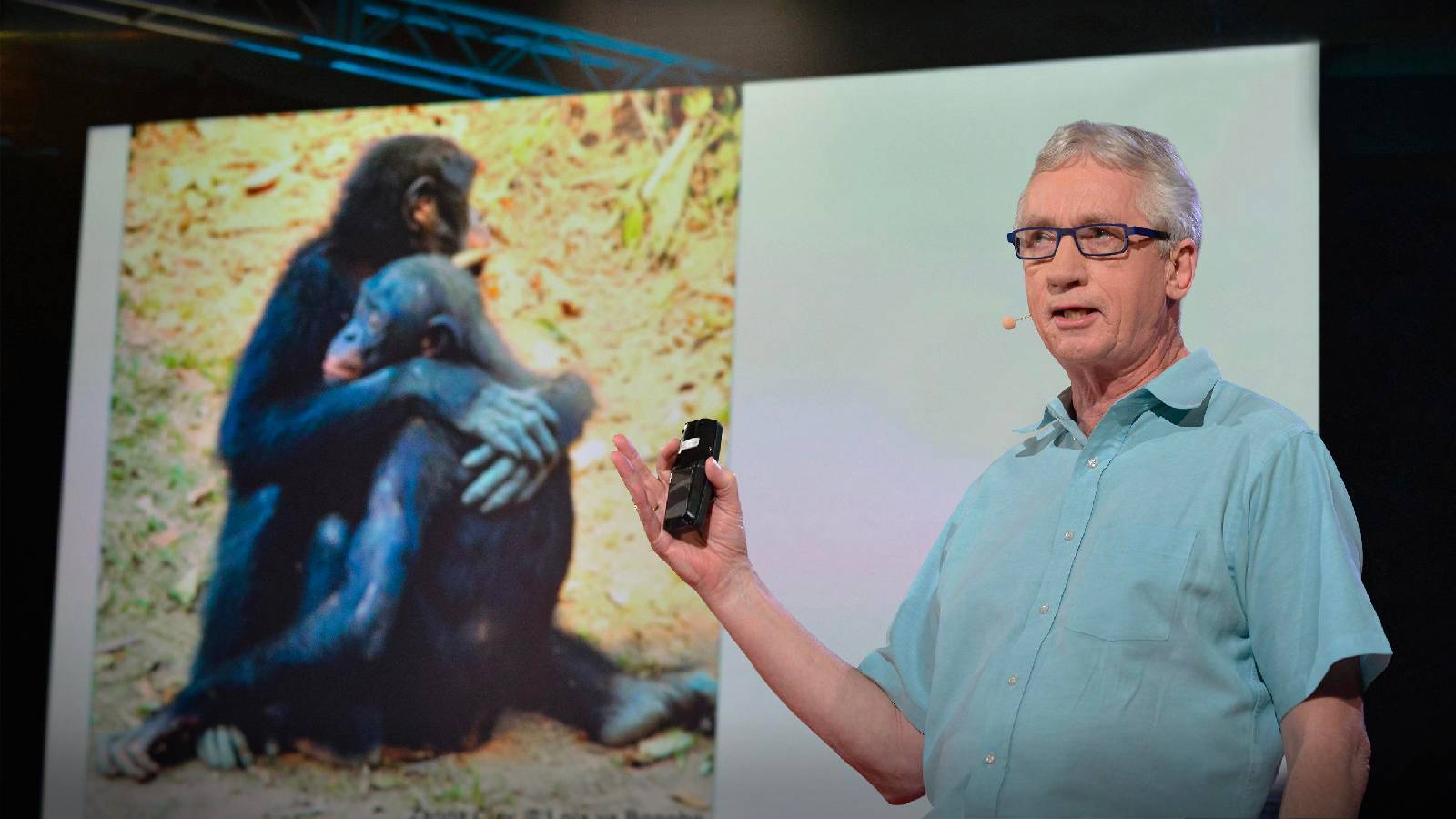 Ünlü primatolog Frans de Waal yaşamını yitirdi