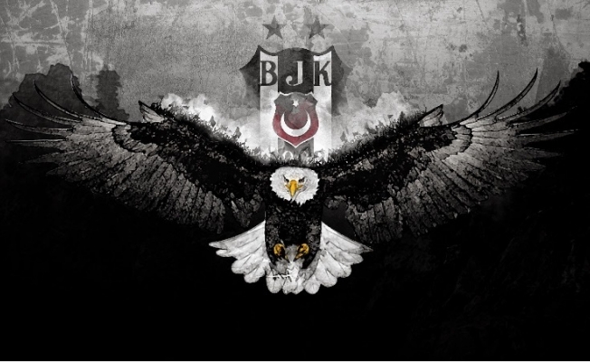 Karakartallar, rekor kırdı!