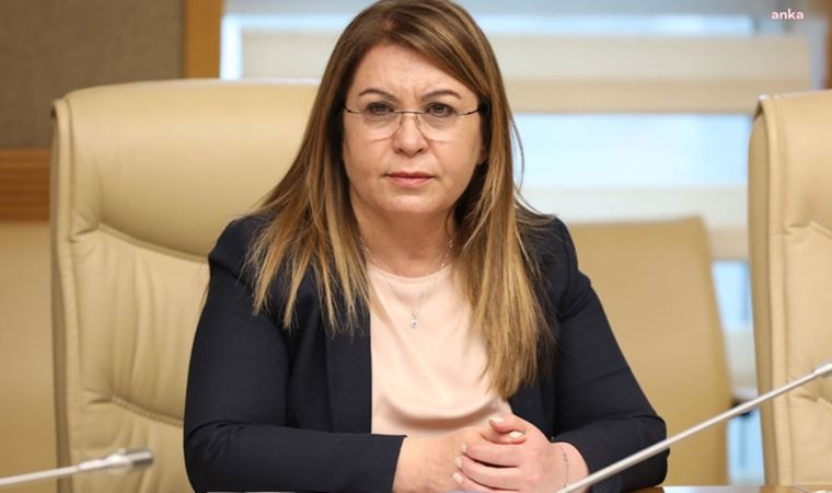 Gülizar Biçer Karaca'dan Van tepkisi: "Milletin iradesine saldırıdır"