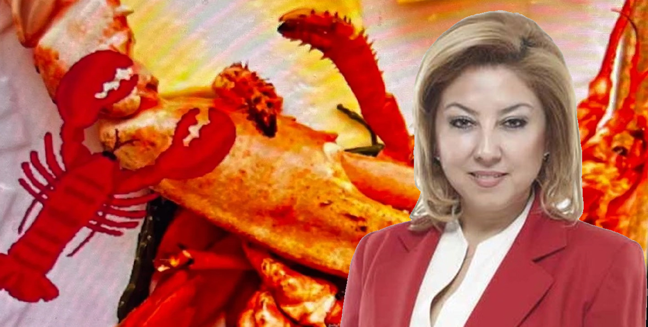 Şebnem Bursalı'dan 'ıstakoz' savunması! Özrü kabahatinden büyük...