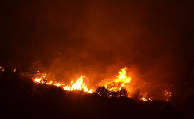 İzmir'de 10 hektar kül oldu!