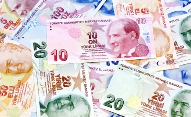 Türk Lirası'nın kanunu değişiyor!