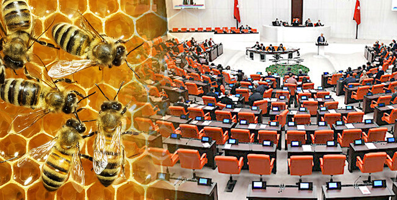 CHP'li milletvekili Meclis'e öyle bir kıyafetle geldi ki...