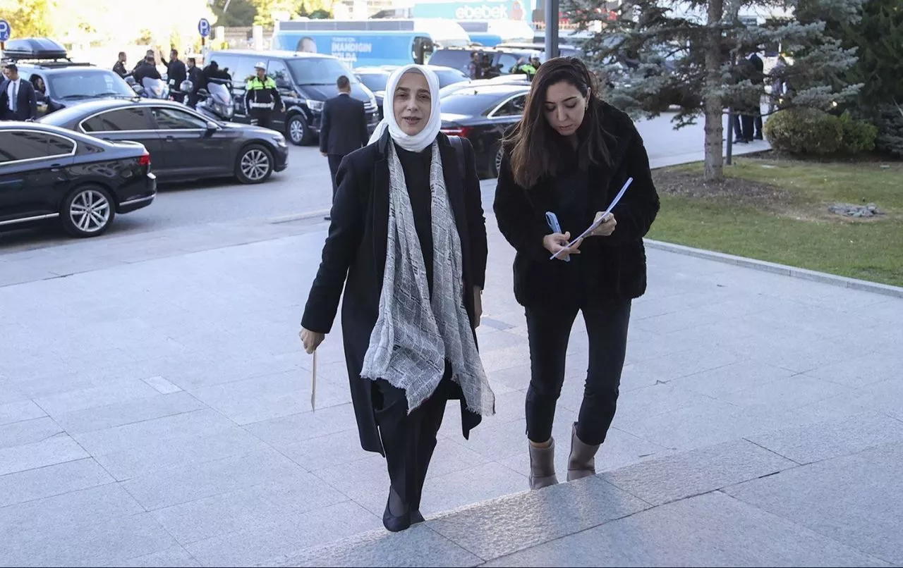 AKP'li Özlem Zengin, 'trol' hesapları Erdoğan'ın masasına koydu
