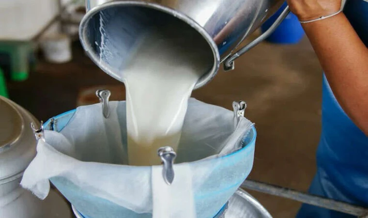 TÜİK süt üretimine ilişkin verileri açıkladı