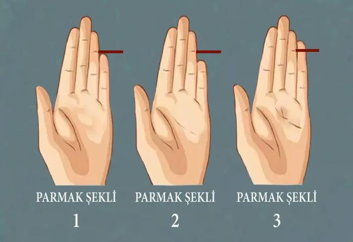 Ne kadar zekisin? Serçe parmak şekliniz zekanız hakkında detay veriyor