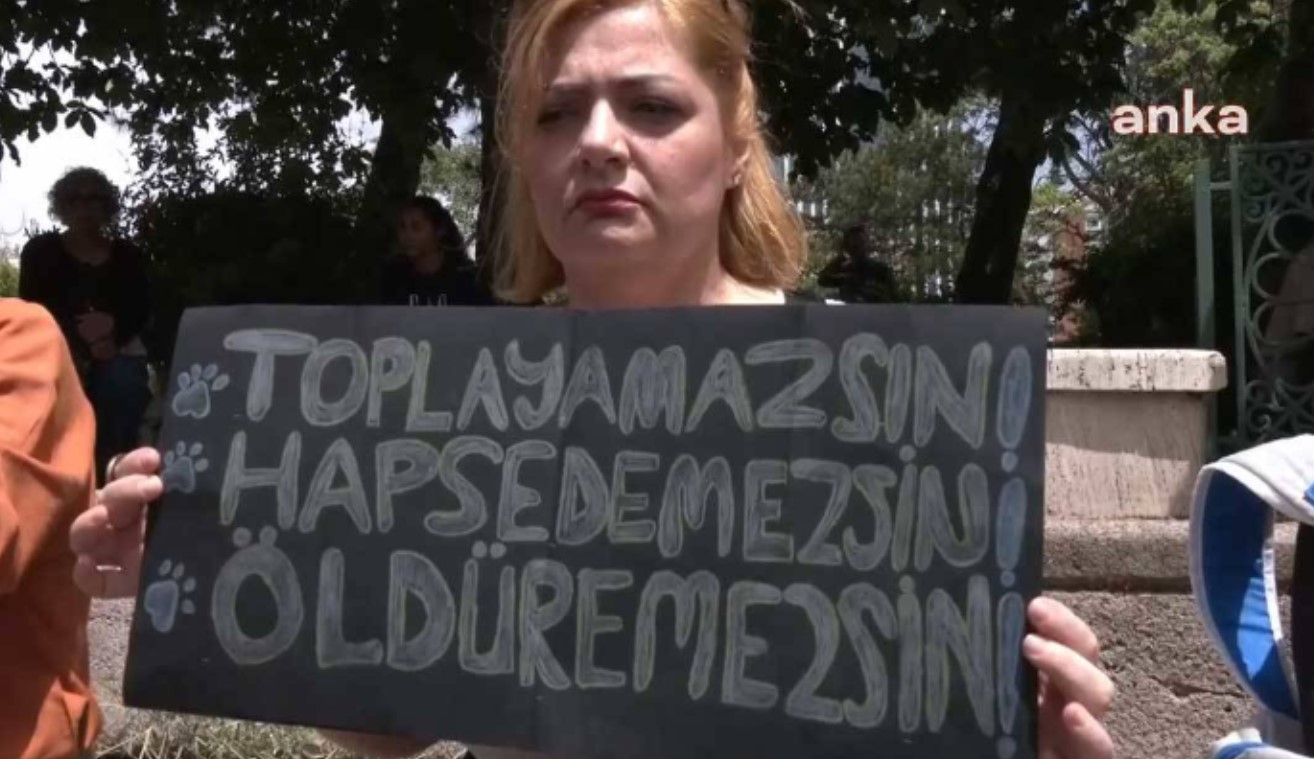 Hayvanseverlerden Meclis'in önünde protesto