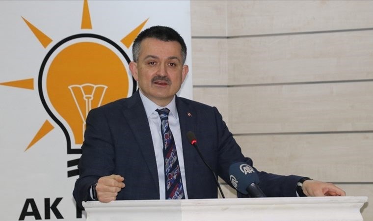 AKP'li eski bakan için kanun hiçe sayıldı! O süre beklenmeden yönetim kurulu üyeliğine atandı