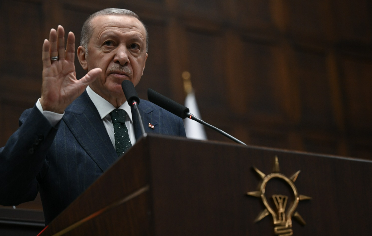 Erdoğan sokak hayvanlarının 'uyutulması' hakkında konuştu: "Başarabilirsek gerek kalmayacak"