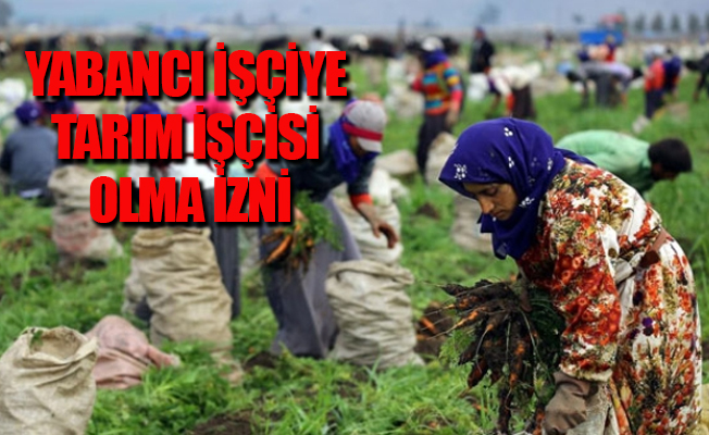 Mevsimlik işçi bu karardan çok etkilenecek!