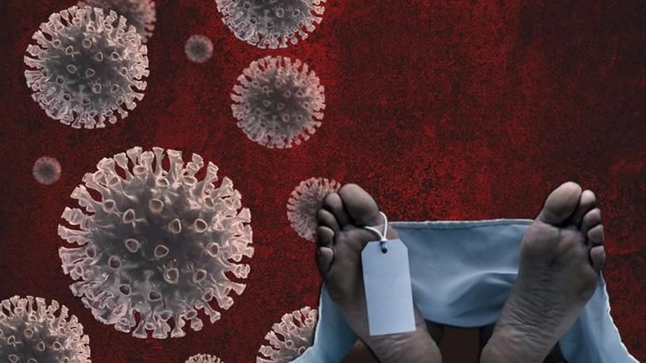 DSÖ'den H5N2 uyarısı! Kuş gribi ilk kez öldürdü! H5N2 belirtileri neler?