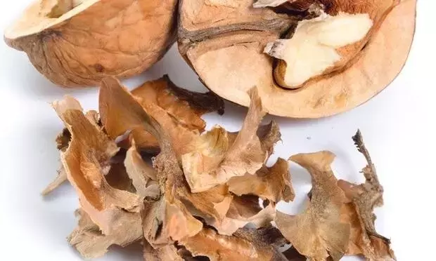 Ceviz zarının faydaları ortaya çıktı!