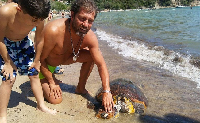 Muğla'da boynu kesilmiş caretta caretta bulundu