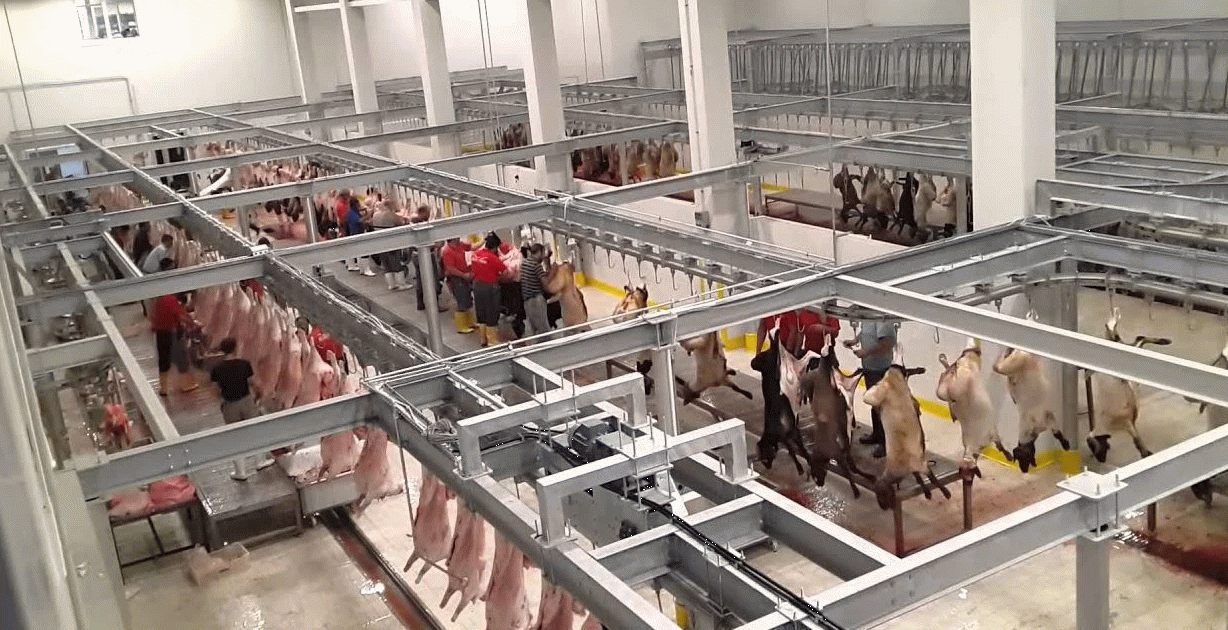 20 ülkeye ihracat yapan 74 yıllık dev Türk şirketi iflas etti