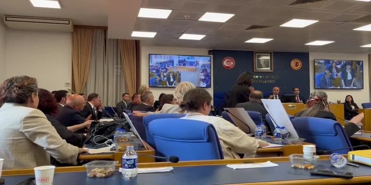 Sokak hayvanlarına katliamın önünü açacak olan teklif tepkiler sonrası ertelendi!