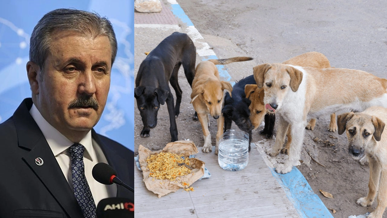 Mustafa Destici 'katliam yasası'nı üstüne basa basa savundu