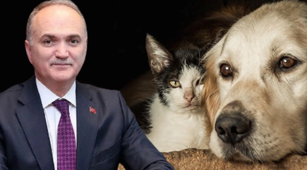 AKP'de çatlak başladı!  İşte katliam yasasına karşı çıkan ilk belediye başkanı!