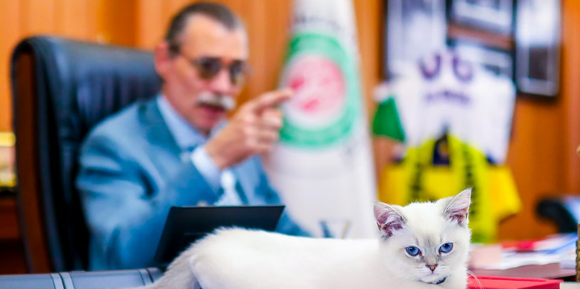 Behzat Ç.'nin sokak hayvanları için ne yapacağı belli oldu