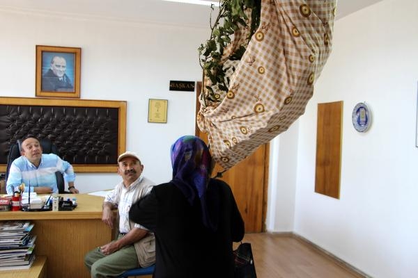 Kesilen ağacını omuzlayıp, belediyeden hesap sordu