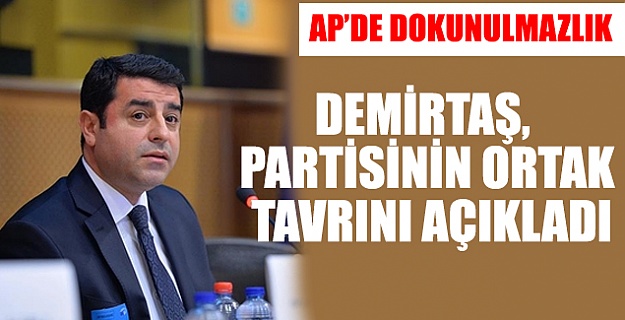 Demirtaş, AP'de konuştu: Tüm vekiller aynı savunmayı yapacak