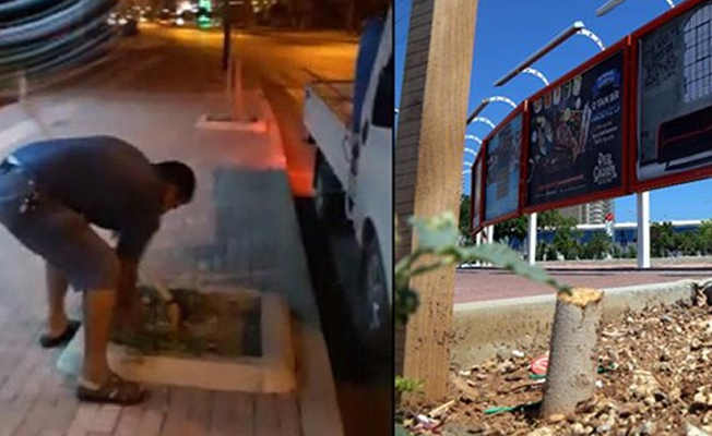 Reklam panosunu kapatıyor diye...