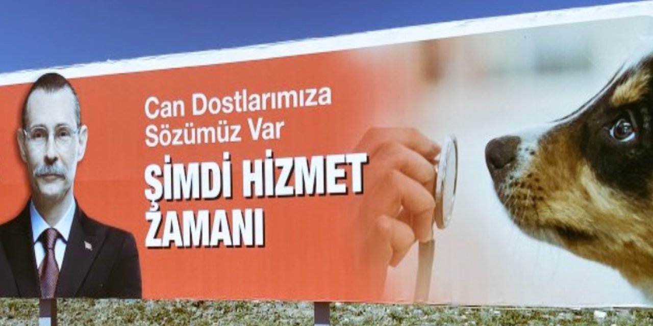 Etimesgut'ta başıboş köpek, çocuğu ısırdı! Erdal Beşikçioğlu'ndan açıklama geldi