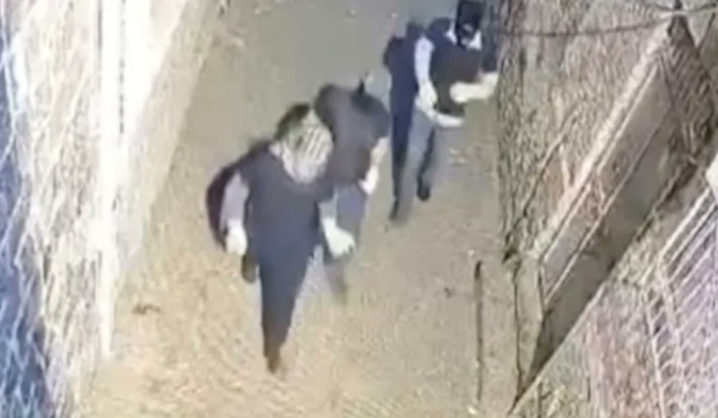 Diyarbakır'da Türkan Elçi'nin ailesinin kafesine ikinci saldırı! Serbest bırakılan saldırganlar yine saldırdı