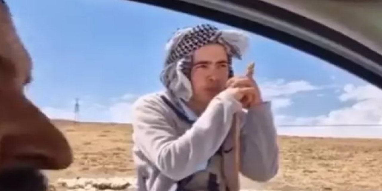 Çobanın maaşını duyan şok oldu!