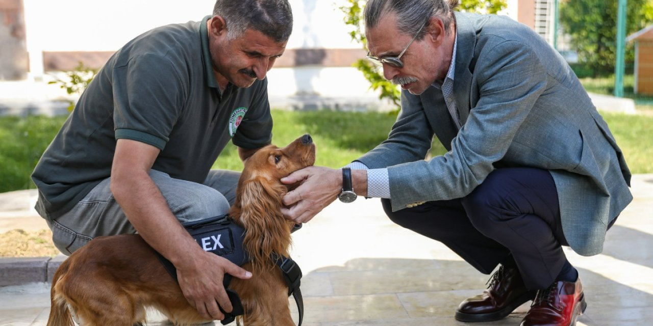 Erdal Beşikçioğlu'ndan dikkat çeken atama! Etimesgut Belediyesi'nde 5 köpek işe başladı