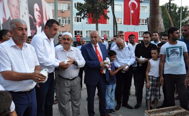 Şehitler için 249 güvercin uçurdular