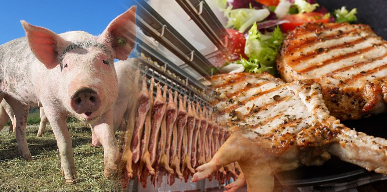 Millete domuz eti yedirmişler! KYK yurt ihaleleri bile bunlara verilmiş