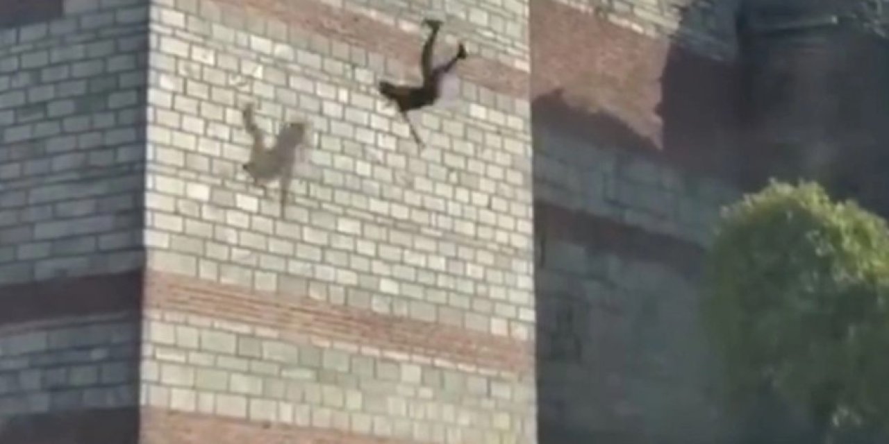 İstanbul Fatih'te kan donduran olay! Kadının kafasını kesip surdan atlayarak intihar etti