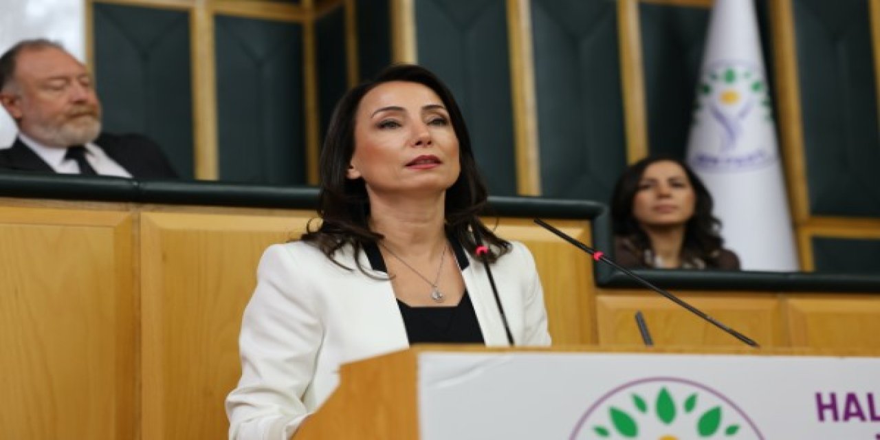 DEM Parti'den yeni anayasa çıkışı! Bir şartları var...