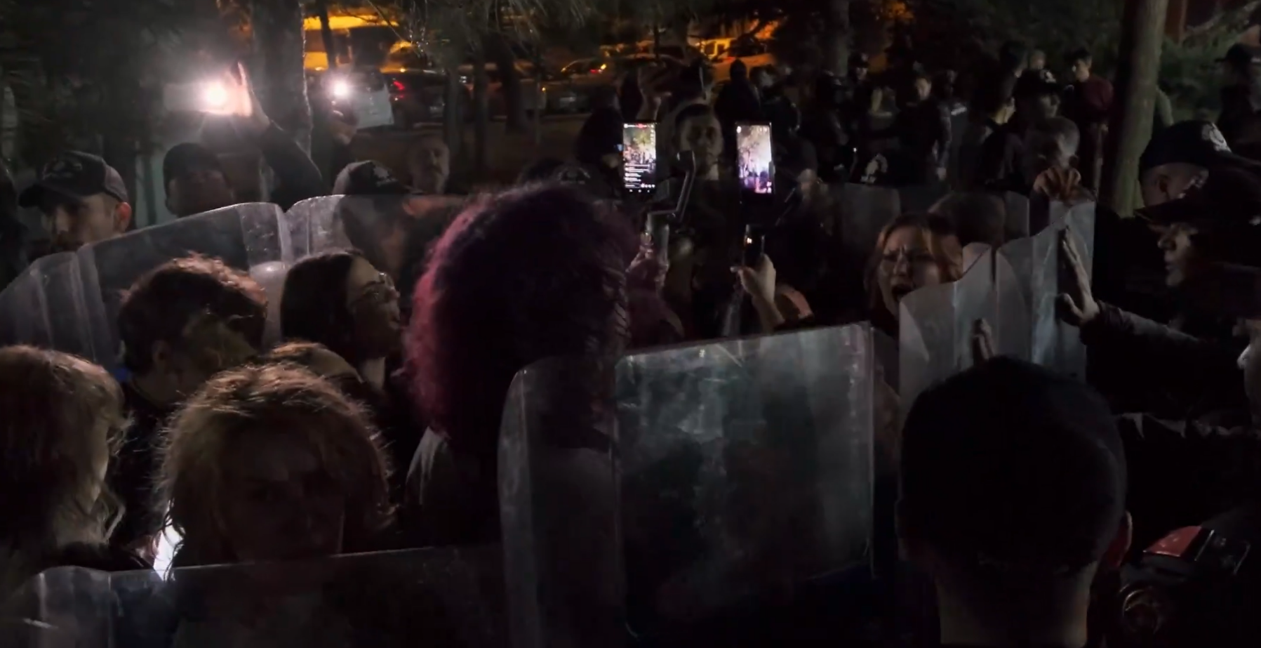 Gebze'deki hayvan katliamı Ankara'da protesto edildi! AKP İl Başkanlığına yürüyenlere gözaltı