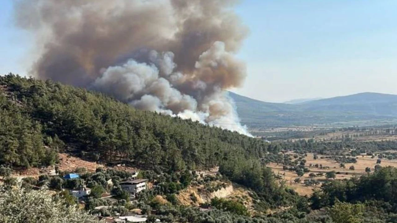 Muğla Yanıyor!