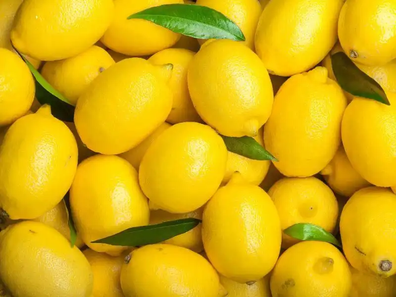 Limonun zararı nedir, kimler limon kullanamaz?