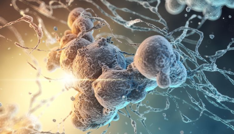 Kansere şifa olan yiyecek belli oldu! Pişirme yöntemi çok önemli