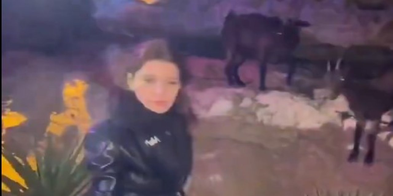 Beren Saat dağ keçileriyle bakın ne yaptı
