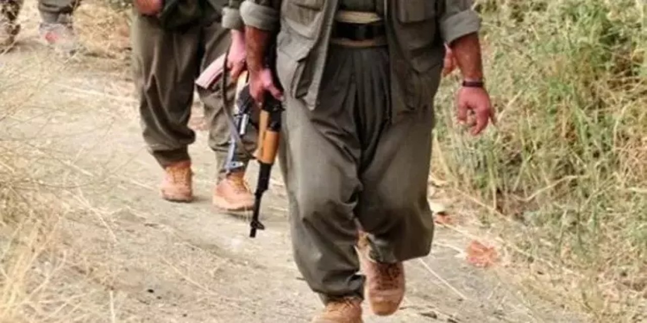 PKK, Kürtleri temsil ediyor mu? İşte anket sonuçları
