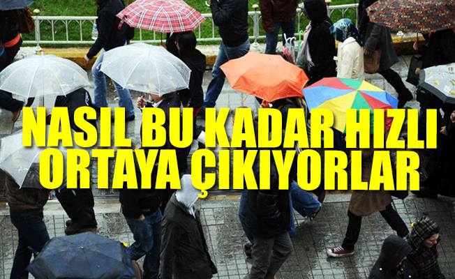Günün karlısı şemsiye satıcıları oldu