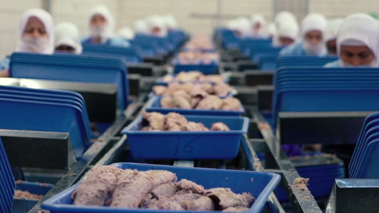 Türkiye'nin ünlü ton balığı markası satılıyor