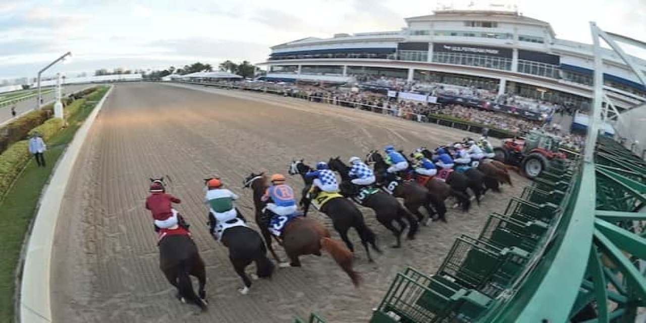 Pegasus World Cup başlıyor! Dünyanın en popüler at yarışları...
